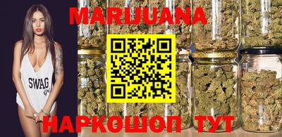 мяу мяу мука Ачхой-Мартан