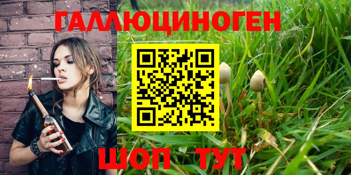 Псилоцибиновые грибы ЛСД  Вход с VPN  Кинешма 